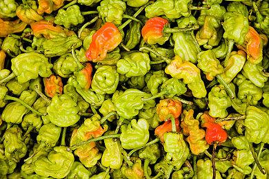 索尼官宣《烈火战车》真人版电视剧集正在制作中