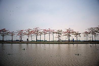 《阿凡达：潘多拉边境》主机版免费体验周开启